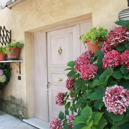 Guest House La Marignana 몰리아노베네토 외부 사진