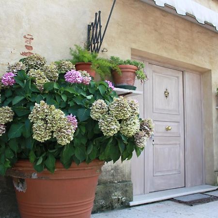Guest House La Marignana 몰리아노베네토 외부 사진
